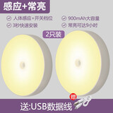 鸿视 led人体感应灯充电床头卧室家用全自动不插电声控光控壁灯小夜灯 充电黄光两个装（900毫安）