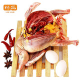 林岚（LINLAN） 5年老鸽子【3只装 】杀前约1800g 新鲜鸽子肉农家鸽子新鲜宰杀 5年老鸽3只单只净重8到9两