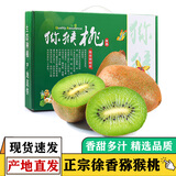 译优农 陕西眉县徐香猕猴桃 绿心奇异果周至猕胡桃当季新鲜孕妇水果 10斤精品特大果【单果100-130g】 新鲜