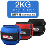 爱倍健爱倍健（AIBEIJIAN） 沙袋绑腿运动训练隐形调节学生绑手绑脚铁砂 升级款重量可调2KG单只1KG备注颜色