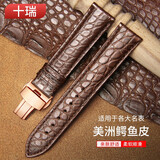 十瑞（SHIRUI）进口美洲鳄鱼皮表带男女适用于浪琴名匠天梭力洛克万国积家欧米茄卡地亚真皮手表带 棕色棕线【玫金扣】 19mm
