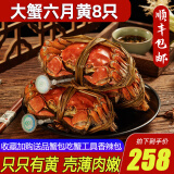 【活蟹】阳澄清歆大闸蟹 鲜活特大螃蟹公蟹母蟹 海鲜水产生鲜礼盒 精品六月黄3.0-3.3两 八只礼盒装
