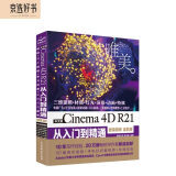 中文版Cinema 4D R21从入门到精通（微课视频 全彩版） ps c4d平面设计C4D教程书籍建模3dmax