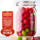 喜碧（Scybe）密封罐 家用泡酒瓶泡菜坛奶粉茶叶储藏瓶杂粮收纳 潘多拉1800ml 