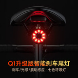 洛克兄弟自行车尾灯山地公路车夜骑警示灯智能感应刹车灯骑行装备 Q1MAX  智能刹车/300毫安/七彩