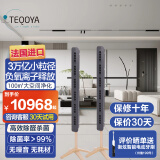 得康氧 法国进口TEQOYA负离子发生器除菌空气净化器 teq450pro*2组合0臭氧0噪音0耗材 teqair450*2