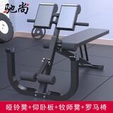 驰尚多功能哑铃凳健身椅仰卧起坐辅助器家用罗马椅健身凳健身器材牧师凳二头肌弯举锻炼 V368【仰卧板+罗马椅+哑铃凳+牧师凳】