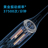 飞科(FLYCO) 电动牙刷成人家用男女款全自动声波震动无线充电式杜邦软毛情侣牙刷FT7105 【冰晶蓝】舒适亮白护齿