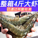 虾 大虾白虾基围虾青虾鲜虾海虾鲜活冷冻生鲜虾类4斤鲜活大虾对虾 14-16cm【超值推荐】 4斤装虾净重3.1-3.3斤【单只冻】