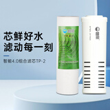 碧丽净水器直饮机滤芯PP棉活性炭 型号TP-2C （3-6个月更换）