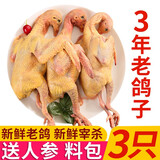 岽鲜 新鲜鸽子肉 新鲜冷冻农家老鸽子土鸽 煲汤烧烤食材 乳鸽生鲜 3年老鸽子400g*3只 带料包+鲜参