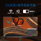 飞利浦 27英寸2K100Hz A-Sync1ms8bit 低蓝光 HDMI+DP 旋转升降 电竞游戏 办公显示器 显示屏27E1N5500LB