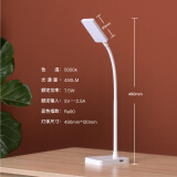 LIGHTPOOL 护眼学习台灯 国A级学生儿童led台灯 调光写字阅读台灯 低蓝光灯 基础款护眼台灯白色（三个亮度） 护眼台灯