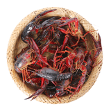 鲜活小龙虾（4-6钱）500g/份