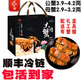 【活蟹】云笙水榭固城湖大闸蟹3.9-4.2两公蟹2.9-3.2两母蟹鲜活螃 6只装