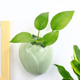安言 壁挂花瓶墙上遮丑免打孔创意悬挂式悬吊花盆绿萝简约客厅装饰 YY-壁挂-唐装(梅子青) 小