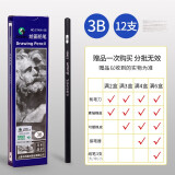 马利（Marie's） 素描铅笔炭笔美术生绘画专用软性碳笔全套绘图玛丽特浓画画套装速写书写笔 3B（12支1盒） 铅笔/炭笔