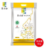 齐兴白东北大米  5kg  2025年新米 橙色