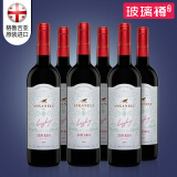 ASKANELI格鲁吉亚红酒萨佩拉维Saperavi干红葡萄酒 均衡口感果香750ml*6瓶