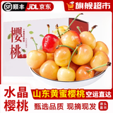 青樱红荔山东黄蜜水晶樱桃【顺丰空运多地次日达】新鲜黄樱桃端午水果礼盒 2斤(净重)  【实惠装】 精选小果(24mm以下)