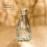 梵冈尬蒂北欧精致迷你玻璃花瓶水养鲜花装饰小花瓶感花器摆件 小锥莲