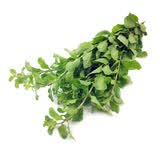 【24小时菜】南汇枸杞头250g