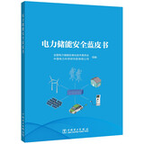 电力储能安全蓝皮书