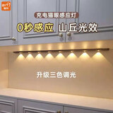 智特免布线免打孔无线橱柜灯智能酒柜玄关鞋柜灯条人体充电感应灯 黑30cm2珠【感应+手扫+三色】