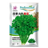 小镇有花 四季大叶香菜种子20克蔬菜种子香菜籽蔬菜阳台菜园种子盆栽