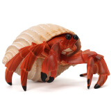 玛奇乐（MECHILE）仿真海洋动物模型玩具套装海牛龙虾寄居蟹河豚飞鱼儿童生日礼物 寄居蟹
