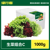 绿行者（GREER）新鲜蔬菜沙拉1kg 现摘生菜组合叶菜沙拉2斤混合蔬菜健康轻食 C组合 苦细叶 罗莎红 球生菜