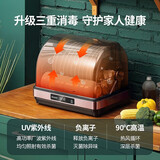 海科师消毒柜家用厨房小型迷你台式桌面保洁消毒碗柜餐具杯子茶杯筷子消毒机紫外线高温杀菌 二星级 42L 【升级版】FLP灯管