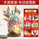 易水阁肉桂生财瓶子发招财香薰摆件肉桂香薰DIY干花材料乔迁新居装饰品 冬日初雪款-才源滚滚2.0