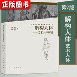 【包邮】【全新第二版】解构人体 艺术人体解剖 中国高等艺术院校精品教材大系 中央美术学院入门基础素描教程 艺术生参考书