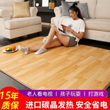 韩友顺韩国进口碳晶地暖垫电热地毯石墨烯发热加热地垫瑜伽地热床炕垫子 大气木纹中色（进口碳晶安全） 50*60cm（9档调节智能速热）
