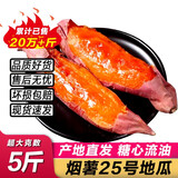 鲁韵忆乡山东烟薯25号红薯蜜薯糖心红薯新鲜番薯农家沙地烤地瓜山芋番薯 精选烟薯净重5斤（单果3两以下）