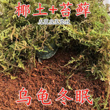 泷戈小乌龟缸带晒台用品装备恒温家用龟椰土保暖乌龟冬眠保温箱冬眠箱 免泡脱盐无菌椰土1斤+优质干苔藓50克