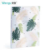 文谷（Wengu）A4资料册60页插页文件袋档案袋收纳袋透明文件夹学生多层试卷资料袋自然M0216-60-D