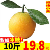 甜蜜有礼麻阳冰糖橙新鲜水果手剥甜橙子冰糖橙应季生鲜 9斤装中号