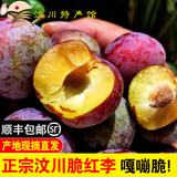 土地母亲计划 正宗汶川脆红李脱骨李子 四川新鲜红脆李中秋送礼 精选5斤 特大果