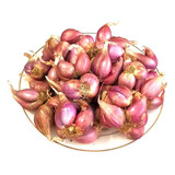 种菜记 四川火葱头种子四季小香葱种头葱种籽火葱红头葱种子苗阳台盆栽 火葱头3斤＋3包有机肥