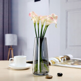 盛世泰堡 玻璃花瓶透明水养植物插花瓶富贵竹百合玫瑰水培容器大花瓶客厅桌面摆件 T形烟灰色22cm