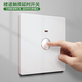 家恩（JIAEN）二线触摸延时开关楼道过道延迟自动关灯面板led灯节能自动开关 白色