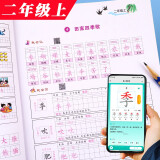 练字帖小学生（人教版配套）儿童钢笔生字词字帖 小学语文一二三四五六年级上册写字课课练1-6年级上语文默写随堂练字基础知识硬笔字帖小脚鸭 生字练字帖（二年级上）