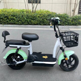 厉文新国标电动车电动自行车小型电瓶车小幻影男女款电动代步车48V 清新绿【新国标可上牌】 14A天一续航助力约140里