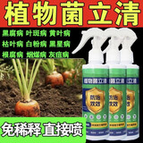 植物菌立清杀菌剂通用型花病康百菌灵免稀释杀菌通用微生物菌剂营 【带喷头】 900g 3瓶