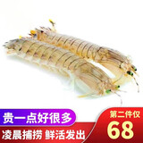 喜鲜德春节正常发货 鲜活海捕 大号皮皮虾 无冰净重 公 母 虾爬子 冰鲜 公母组合1斤装（共15-18只）