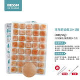 BESSN红虫六角恐龙冰冻牛心汉堡丰年虾罗汉鱼金鱼七彩鱼蝾螈饲料鱼食 【冷库直发】丰年虾幼10板+1板+喂食镊+吸管
