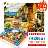 艺臣玩具 （YICHEN TOYS）成人1000片木质拼图智力创意减压治愈玩具男女生日礼物星空装饰画 海边阳台1000片木质分区配图纸