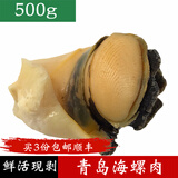 鱼姐海成 青岛海螺肉新鲜现剥鲜活大海螺冷冻去壳速冻约15只/斤500g袋装